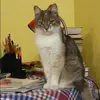 Отзыв от Олеся Ершова